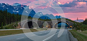 Animal crossing bridge across Trans-Canada Highway in Banff. Sunrise