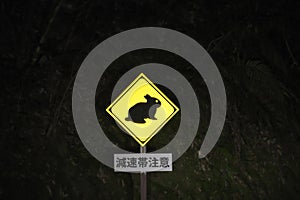 Animal crossing road sign for an Amami rabbit, endangered animal, in Japan