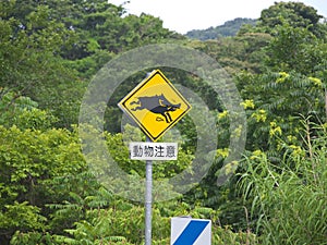 Animal crossing road sign for a wild boar or Inoshishi in Shikoku, Japan