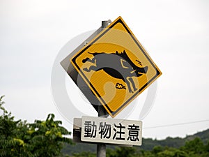 Animal crossing road sign for a wild boar or Inoshishi in Shikoku, Japan