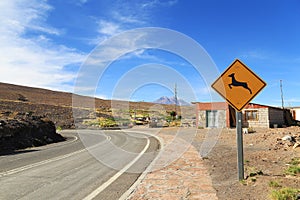 Animal Crossing Sign in desert