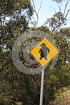Animal Crossing Sign on a Street in Tasmania