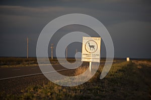 Animal crossing warning sign, Route in the Pampas plain,