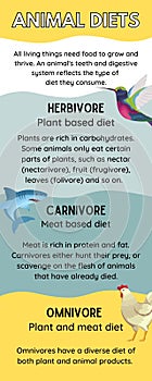 Animal diets Infographic