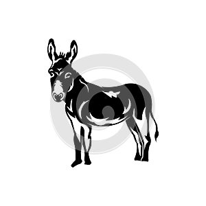 animal donkey of livestock,cartoon character