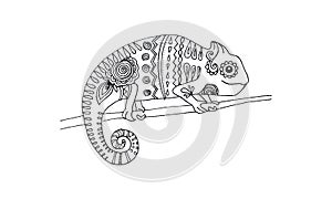 Animal draw for antistress - chameleon