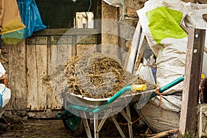 Animal droppings used as fertilizers loaded onto a wheelbarrow photo