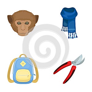 Animal, education and other web icon in cartoon style. clothing, gardening icons in set collection.