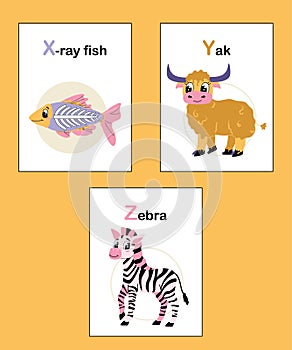 Animal educational alphabet cards X to Z. X-ray fish, yak, zebra.