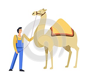 Animal Egyptian camel with owner caring for it vector