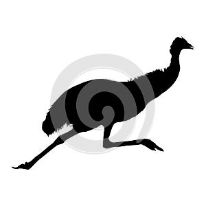 Animal Emu Dromaius Novaehollandiae Silhouette Found In Map Of Oceania