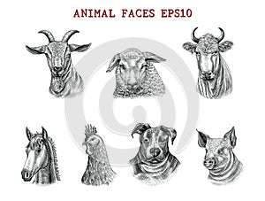 Animal faces hand draw engraving style black and white clip art isolated on white background