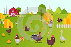 Animal farm collection vector illustration. Hens, ducks, turkeys and chicks in farmland yard. Birds breeding in clean photo