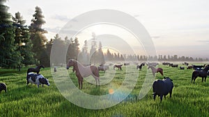 Animal farm. Grazing on a green meadow animals. Farm with Pets. Animal husbandry and nature. 3D Rendering