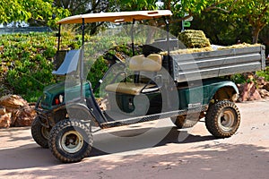 Animal feed delivery car