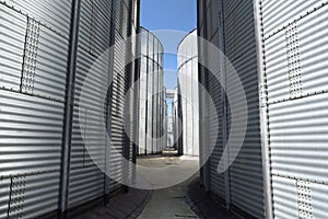 Animal feed factory. Big metal containers for grain. Modern agro-industry storage technology