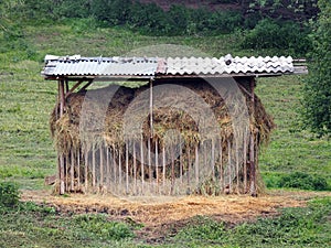 Animal feeder with shelter