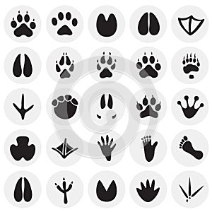 Animal foot prints icons set on circles background for graphic and web design, Modern simple vector sign. Internet concept. Trendy