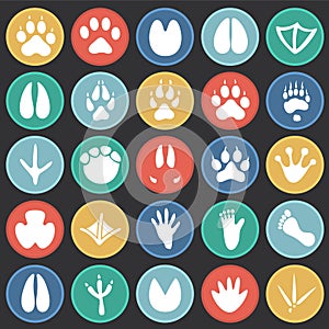 Animal foot prints icons set on color circles black background for graphic and web design, Modern simple vector sign. Internet