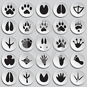 Animal foot prints icons set on plates background for graphic and web design, Modern simple vector sign. Internet concept. Trendy