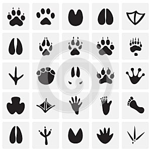 Animal foot prints icons set on squares background for graphic and web design, Modern simple vector sign. Internet concept. Trendy