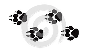 Animal foot prints and tracks isolated steps traces on white for wildlife concept design vector.