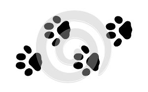Animal foot prints and tracks isolated steps traces on white for wildlife concept design vector.