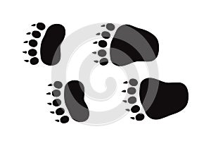 Animal foot prints and tracks isolated steps traces on white for wildlife concept design vector.