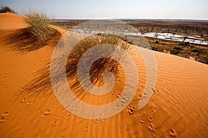 Australian Sand Dunes