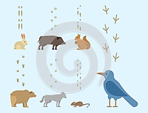 Animal footprints include mammals and birds foot print trace wildlife track steps wild nature silhouette vector