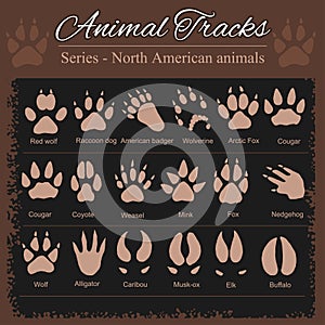 Animal Footprints - North American animals