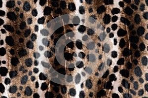 Animal fur (close-up)