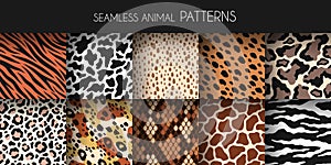 Animal fur seamless patterns. Leather and skin prints, natural fauna backgrounds, zoo mammals and reptiles textures, zebra jaguar