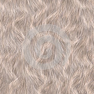 Animal fur texture
