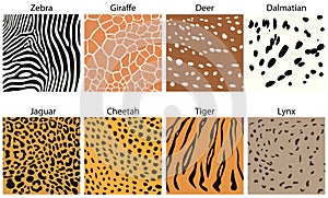 Animal fur textures