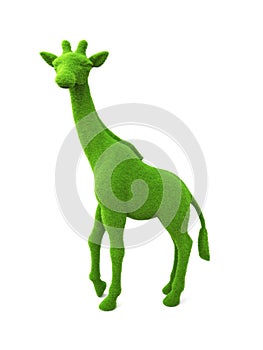Animal giraffe shaped grass hedge on a white background
