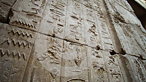 Animal hieroglyphics wall at Edfu temple Egyptian letters