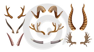 Animal horns goat deer and moose poaching and hunting trophy