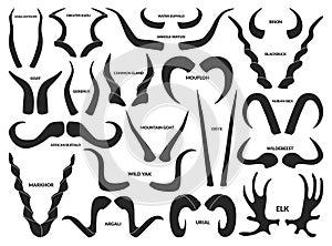 Animal horns isolated black set icon. Vector black set icon reindeer. Vector illustration animal horns on white background