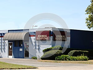 Animal Hospital