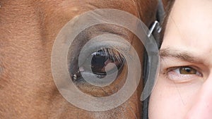 Animal and human eye - horse and man looking together at camera. Close up view of the eye of a beautiful brown stallion