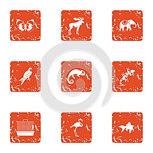 Animal humanity icons set, grunge style