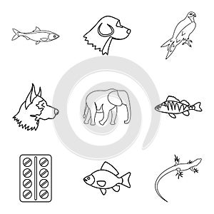 Animal husbandry icons set, outline style