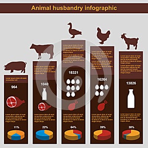 Animal husbandry infographic, agriculture, , flat design, elements