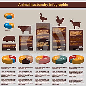 Animal husbandry infographic, agriculture, , flat design, elements