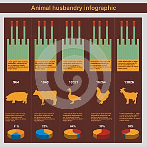 Animal husbandry infographic, agriculture, , flat design, elements