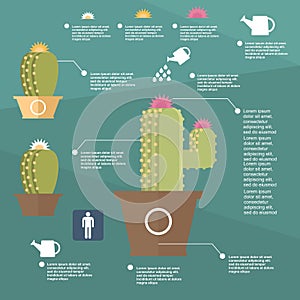 Animal husbandry infographic, agriculture, , flat design, elements