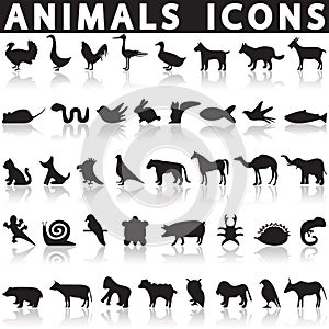 Animal icons set