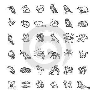 Animal icons. Vector outline icon set. Zoo Line animals concepts, Icons set