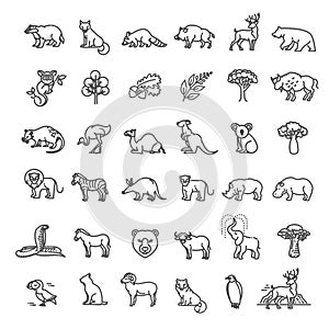 Animal icons. Vector outline icon set. Zoo Line animals concepts, Icons set